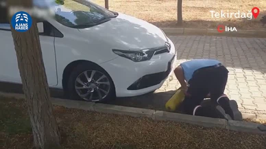 İnatçı kedi çileden çıkardı