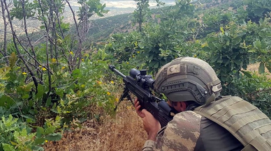 Van'da bir terörist etkisiz hale getirildi