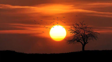 Meteoroloji'den sıcak hava dalgası uyarısı geldi