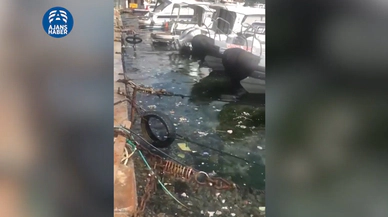 İstanbul Bebek'in içler acısı hali kamerada