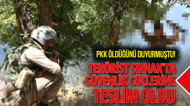 PKK'nın öldüğünü duyurduğu terörist, Şırnak’ta teslim oldu