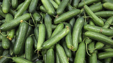 Ağustosta fiyatı en fazla artan ürün salatalık, en çok düşen erik