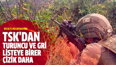 Bitlis'te Turuncu ve Gri Kategori'deki teröristler etkisiz hale getirildi