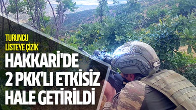 Hakkari'de biri turuncu listede aranan iki PKK'lı etkisiz hale getirildi