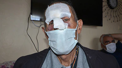 Ormanda odun toplarken ayı saldırdı