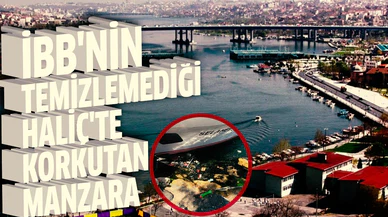 İBB'nin temizlemediği Haliç'te korkutan manzara