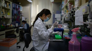 Güney Kore'de, şüpheli ölümlere rağmen grip aşısı programı sürecek