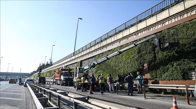 Balıkesir Büyükşehir Belediyesi İBB'nin söktüğü dikey bahçelere talip oldu