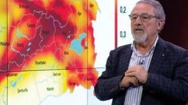 Naci Görür: Tuzla fayına dikkat!