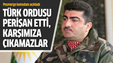 Peşmerge komutanı: PKK karşımıza çıkamaz