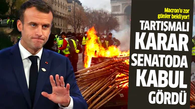 Fransa'da sarı yelekler'in tepki gösterdiği emeklilik reformu kabul edildi