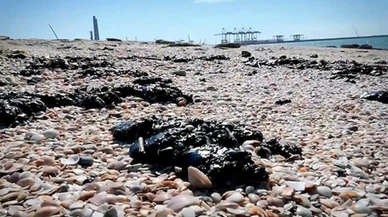 Suriye'nin Akdeniz kıyısında petrol sızıntısı