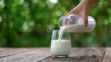 Süt üretimi geçen yıla göre 3,4 azaldı