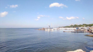 Bakan Kurum: Marmara'da balıklar görünmeye başladı