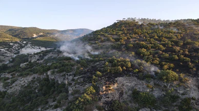 Kızılcahamam'da çıkan orman yangını kontrol altına alındı