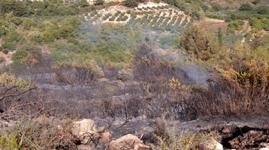 Hatay Samandağ'da çıkan orman yangını kontrol altına alındı
