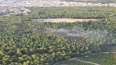 İzmir'de çıkan orman yangını kontrol altına alındı