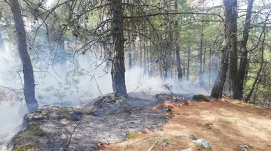 Adana Feke'de iki noktada çıkan orman yangınları kontrol altına alındı