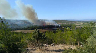 İzmir'de ağaçlandırma sahasında yangın: Müdahale sürüyor
