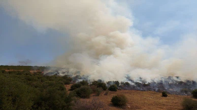 Manisa`da makilik alanda çıkan yangın kontrol altına alındı