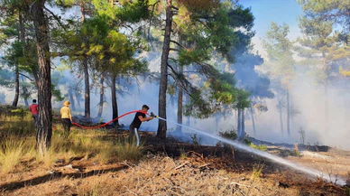 Tarsus'ta çıkan orman yangını kontrol altına alındı