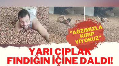 Fındıkların içinde yüzen Tiktok kullanıcısı hakkında soruşturma başlatıldı