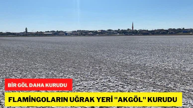 Aksaray'da flamingoların uğrak noktası Akgöl kurudu