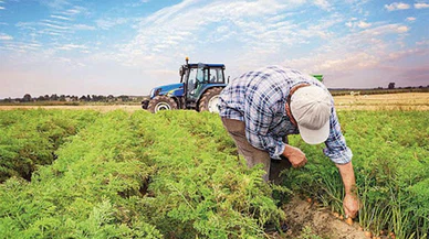 Çiftçi Kayıt Sistemi'ne başvuru dönemi düzenlendi