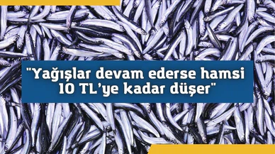 “Yağışlar devam ederse hamsi 10 TL’ye kadar düşer”