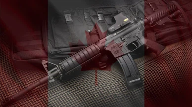 Türkiye'ye silah ambargosu uygulayan Kanadalı şirket iflas etti