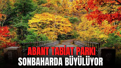 İki mevsimin birlikte yaşandığı Abant Tabiat Parkı fotoğraf tutkunlarını büyülüyor