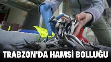 Trabzon'da hamsi bolluğu
