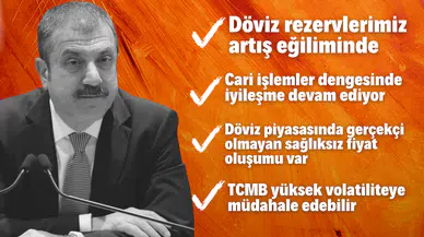 Merkez Bankası Başkanı'ndan dövize müdahale açıklaması