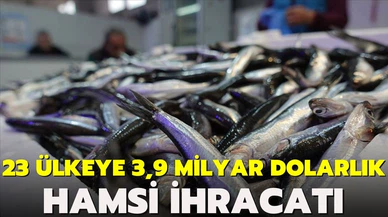 Dünya hamsi ile tanıştı! 23 ülkeye 3,9 milyon dolarlık hamsi ihracatı!