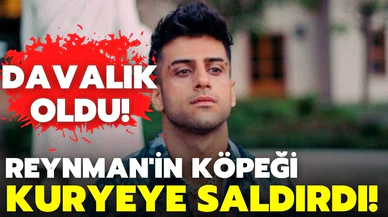 Reynmen'in köpeği kuryeye saldırdı