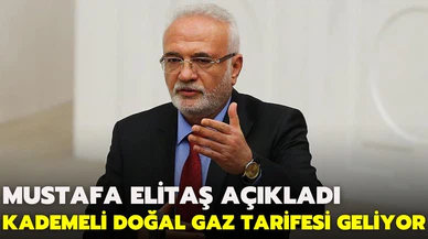 AK Parti'li Elitaş: "Kademeli doğal gaz tarifesini getireceğiz"