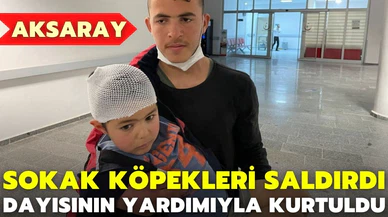 Aksaray'da sokak köpeklerinin saldırdığı çocuk yaralandı