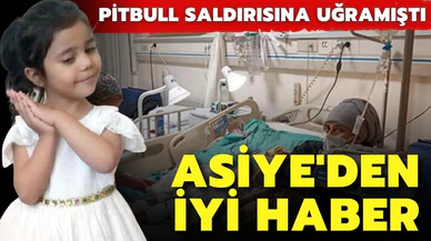 Pitbull saldırısına uğrayan Asiye'den iyi haber