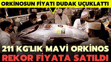 Tokyo'da balık halinde satılan 211 kilogramlık orkinosun fiyatı dudak uçuklattı.
