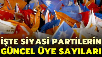 Türkiye'de kaç siyasi parti var?