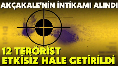 Akçakale şehitlerinin kanı yerde kalmadı: 12 terörist etkisiz hale getirildi
