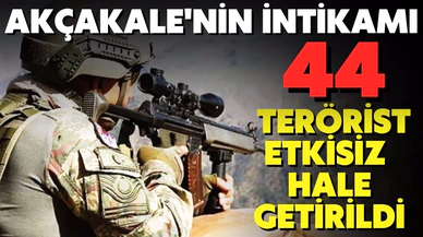 Cezalandırma operasyonları ile 44 terörist etkisiz hale getirildi