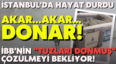 Bir şehir kara teslim oldu, İstanbul'da hayat durdu