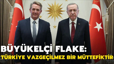 ABD Büyükelçisi Flake, Cumhurbaşkanı Erdoğan'a güven mektubunu sundu
