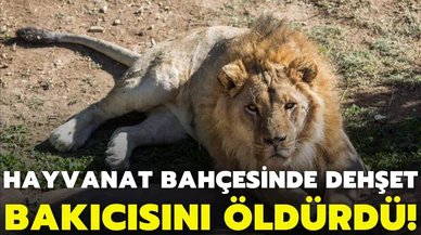 Kafesinden kaçan aslan, bakıcısını öldürdü