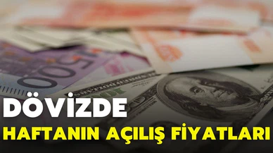 Serbest piyasada döviz açılış fiyatları