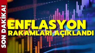 Şubat ayı enflasyon rakamları açıklandı