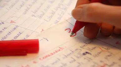 Almanya'daki bir okulda Türklere yönelik ırkçı ifadelerin yer aldığı ödev tepki çekti