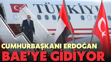 Birleşik Arap Emirlikleri Erdoğan'ı bekliyor. Dubai'de bir gökdelen Türk bayrağı ile aydınlatıldı