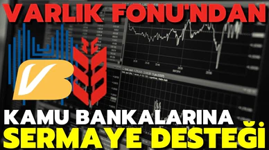 Türkiye Varlık Fonu'ndan kamu bankalarına sermaye desteği